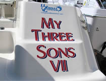 My Three Sons VII